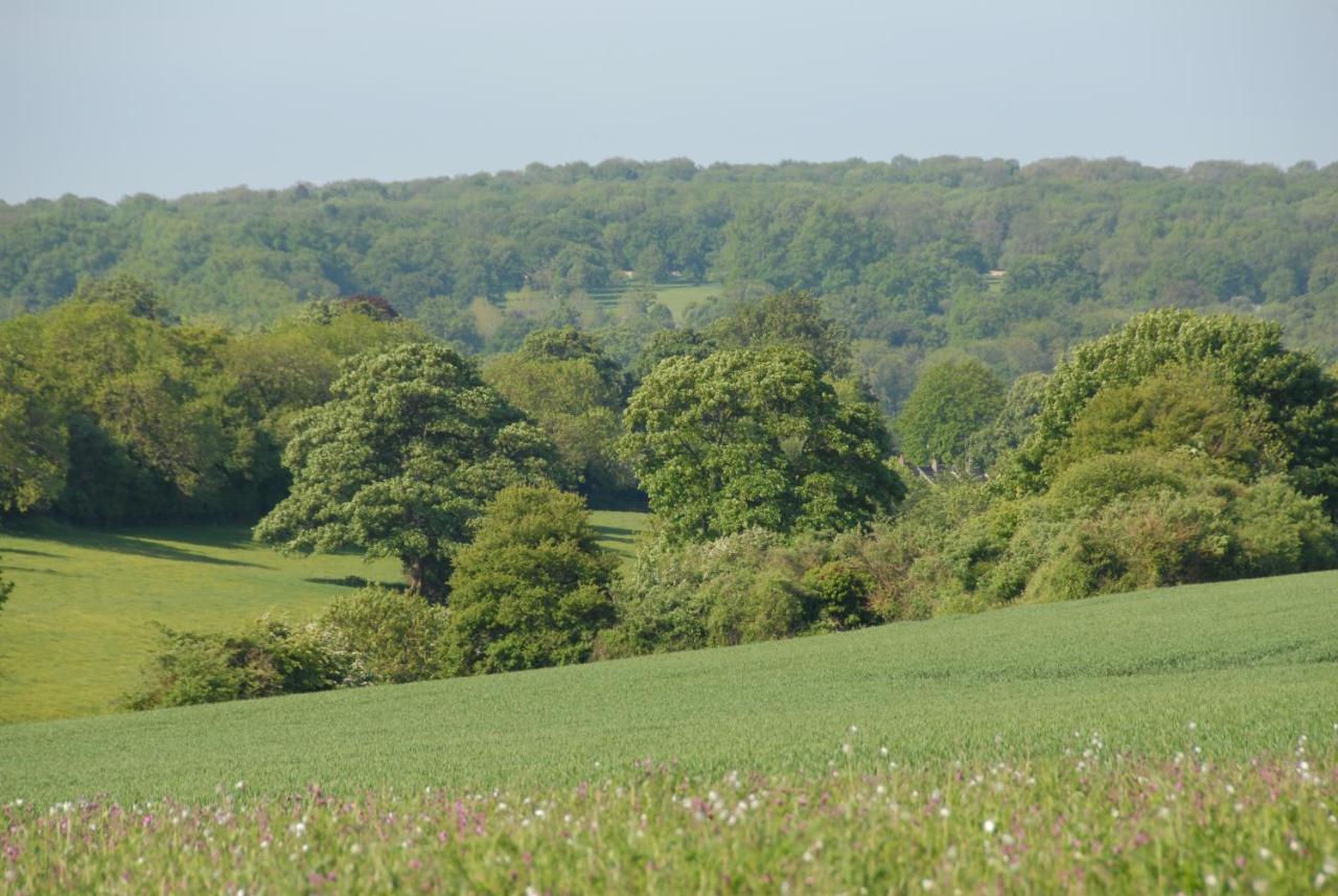 Banbury Hill Farm Bed and Breakfast Charlbury Exteriör bild